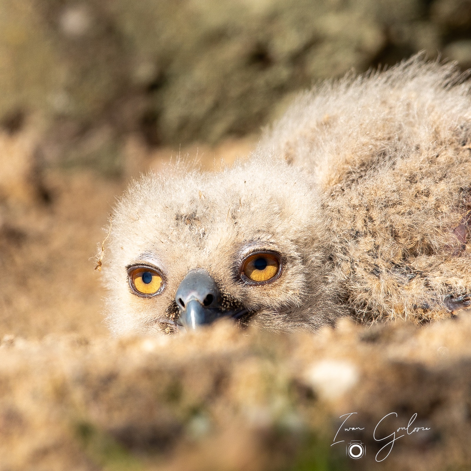 18 april 2022 100625  5D46485